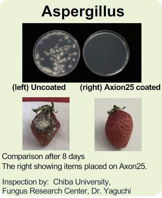 chiba university test chiba university test